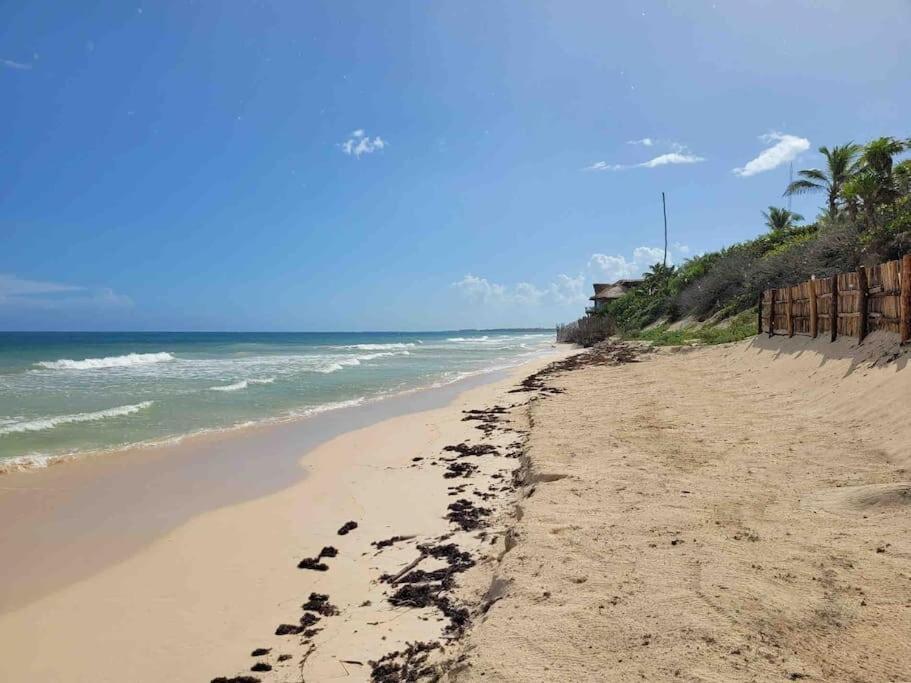 Luxury 5-Br Beachfront Home In Tulum Casa Sofia Gato Exterior photo
