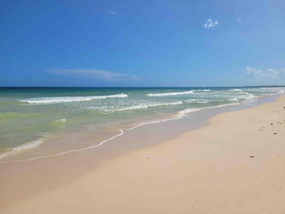 Luxury 5-Br Beachfront Home In Tulum Casa Sofia Gato Exterior photo